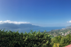 Vue du Léman depuis Chamby.